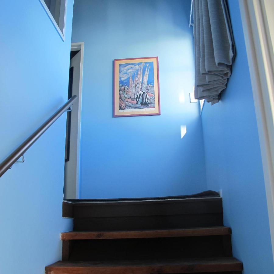 Chez Tiare - The Loft Apartment 纳皮尔 外观 照片