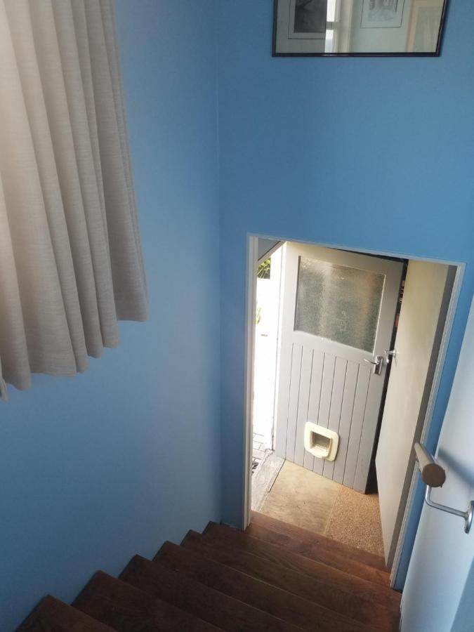 Chez Tiare - The Loft Apartment 纳皮尔 外观 照片